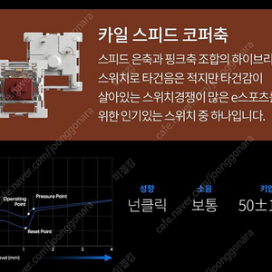 카일 스피드 코퍼축 (넌클릭, 갈축) 키보드 스위치 89ea