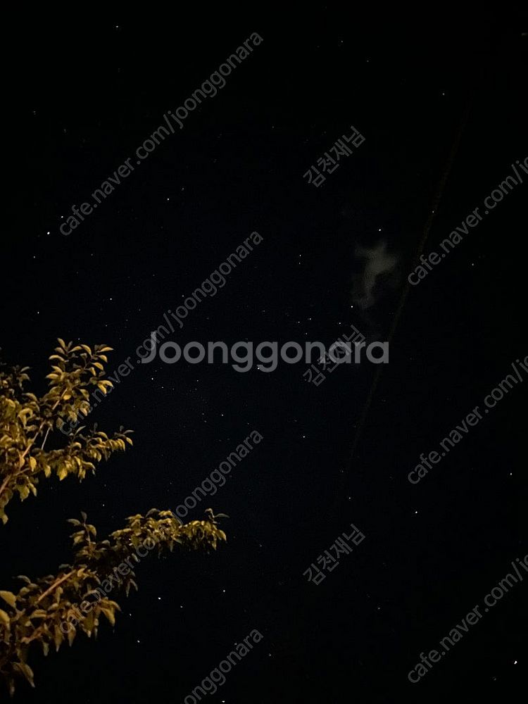 캠핑장 양도 포천캠프원 오늘부터 2박 3일--1