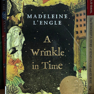 영어원서 Wrinkle in Time by Madeleine L'Engle | 매들렌 렝글의 "시간의 주름"