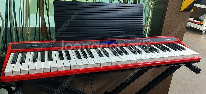 롤랜드 Roland 전자건반 고키 (Roland Go-...--0