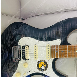 사이어 Larry Carlton S7 FM (TBK) 일렉기타