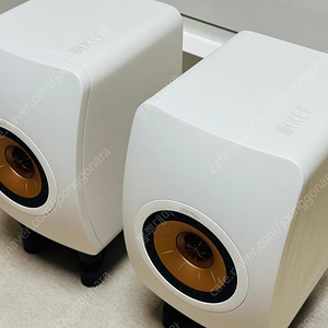 KEF LS50 meta 화이트 + 아이소어쿠스틱