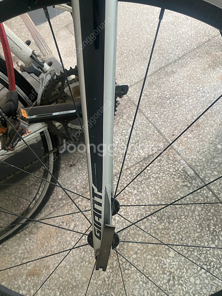 (강원 홍천) 자이언트 tcr sl1 자전거 판매합니다...--4