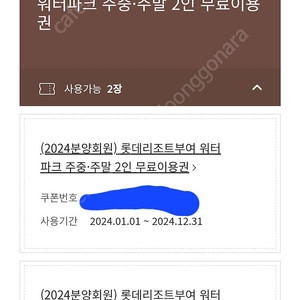 롯데리조트 부여 워터파크 자유이용권 (대인2인권)