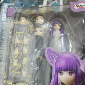 shf 페른