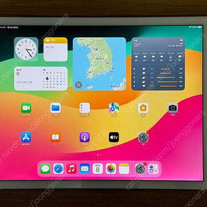 아이패드 프로 2세대 12.9 셀룰러 64GB 판매