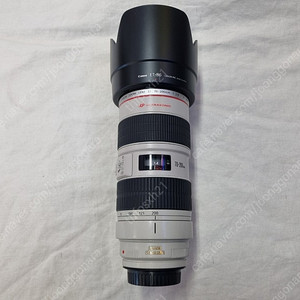 캐논 70-200 f 2.8 is usm 아빠백통