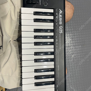 Alesis Q25 usb 미디 키보드 컨트롤러