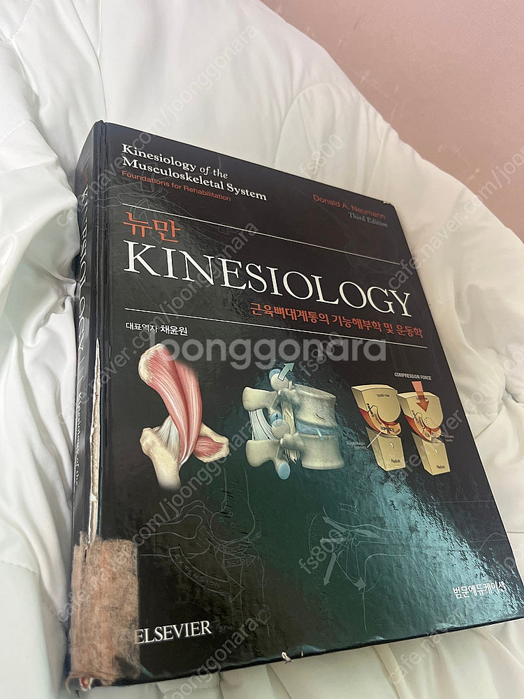 뉴만 / 켄달 / 샤먼 / 얀다 / NASM CES / ACSM CPT--4