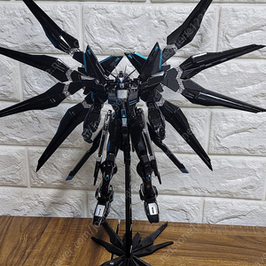 반다이 MG 스트라이크 프리덤 건담 ZGMF-X20A STRIKE FREEDOM GUNDAM 도색 완성품 블랙 버전