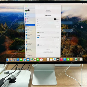 애플 스튜디오 디스플레이 27인치 모니터(맥미니 동시 처분