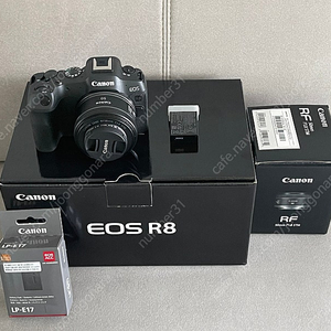 eos R8, rf 50.8 일괄판매