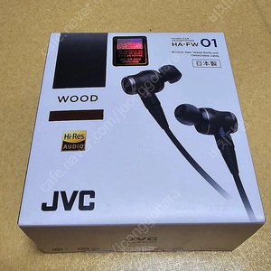 jvc fw01 이어폰 팔아요