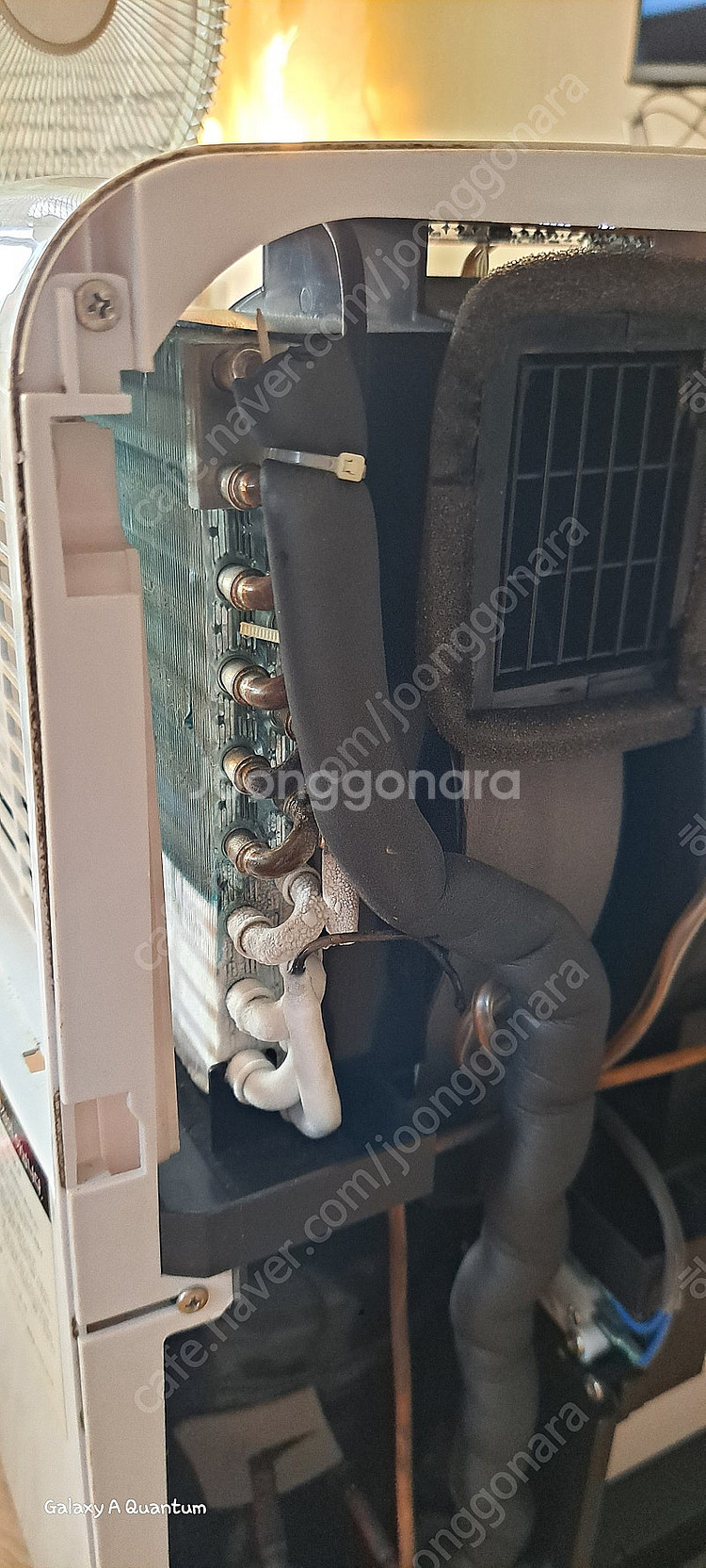 캠핑콘 팝니다--2