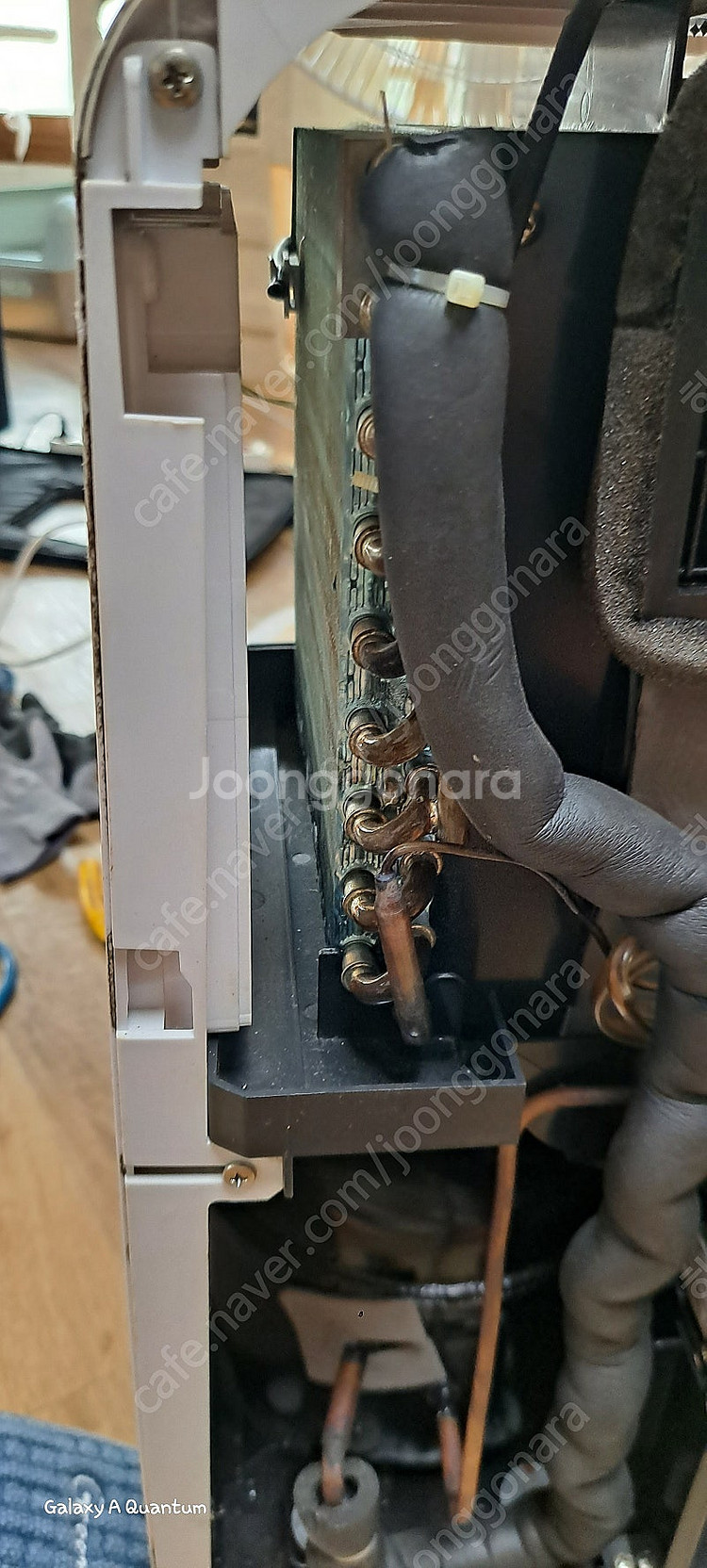 캠핑콘 팝니다--5