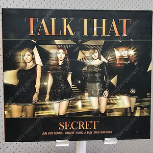 시크릿 (SECRET) - TAKE THAT 디싱 송료 포함