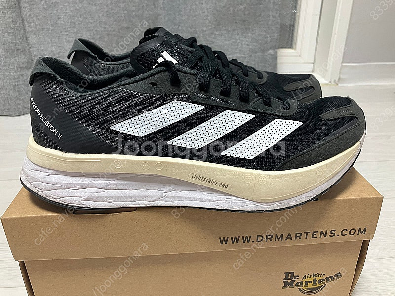아디디스 보스턴11 270--3