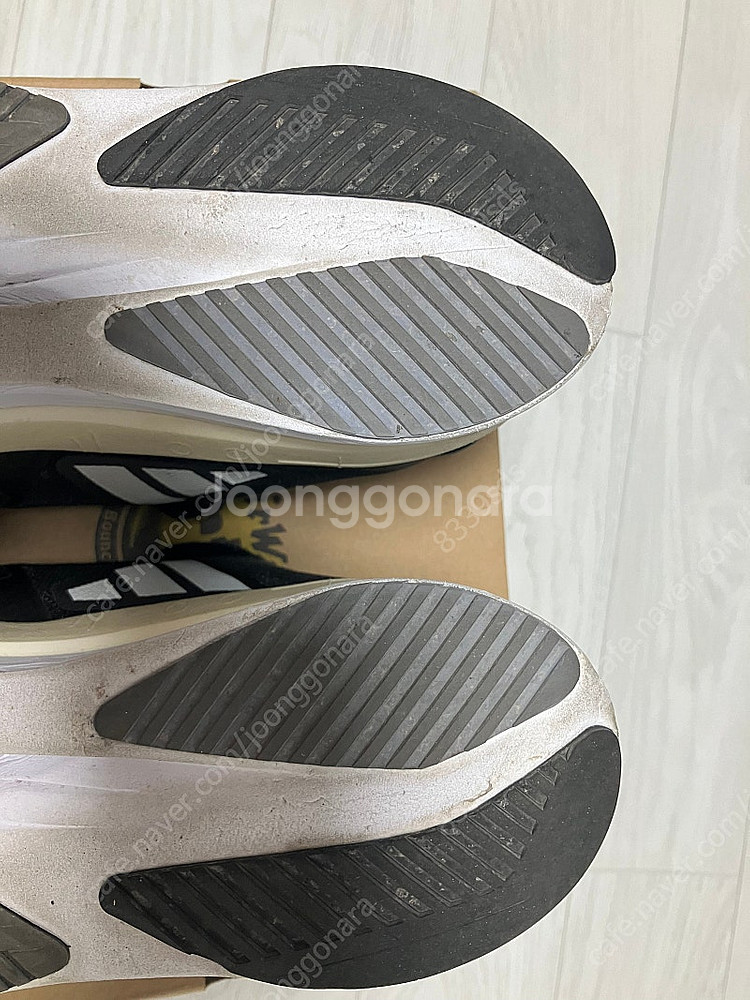 아디디스 보스턴11 270--8