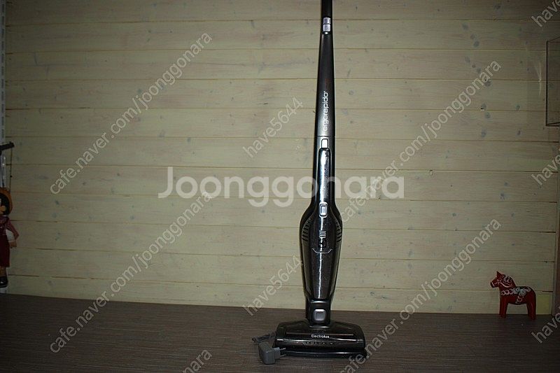 DD 일렉트로룩스 에르고라피도 청소기 (밧데리 거치대 ...--0