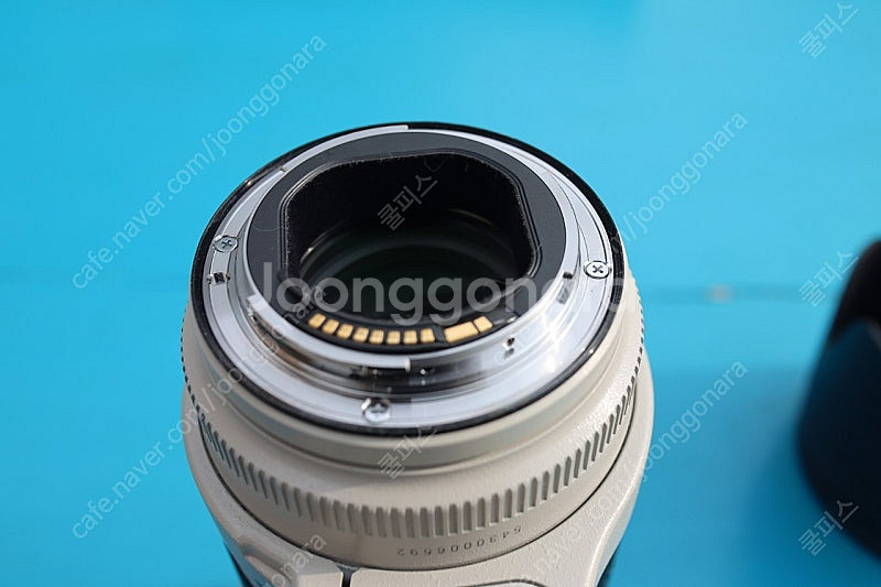 캐논 새아빠 (EF 70-200mm f2.8L IS--1