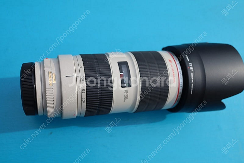 캐논 새아빠 (EF 70-200mm f2.8L IS--5