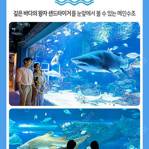 아쿠아플라넷 광교 입장권 19000원