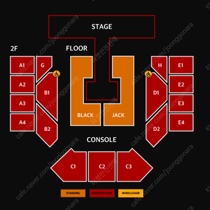 투애니원(2ne1) 콘서트 지정석,스탠딩 명당 양도합니다