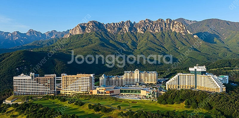 [오늘숙박특가] 양양,삼척쏠비치 / 델피노호텔 양도해요--1