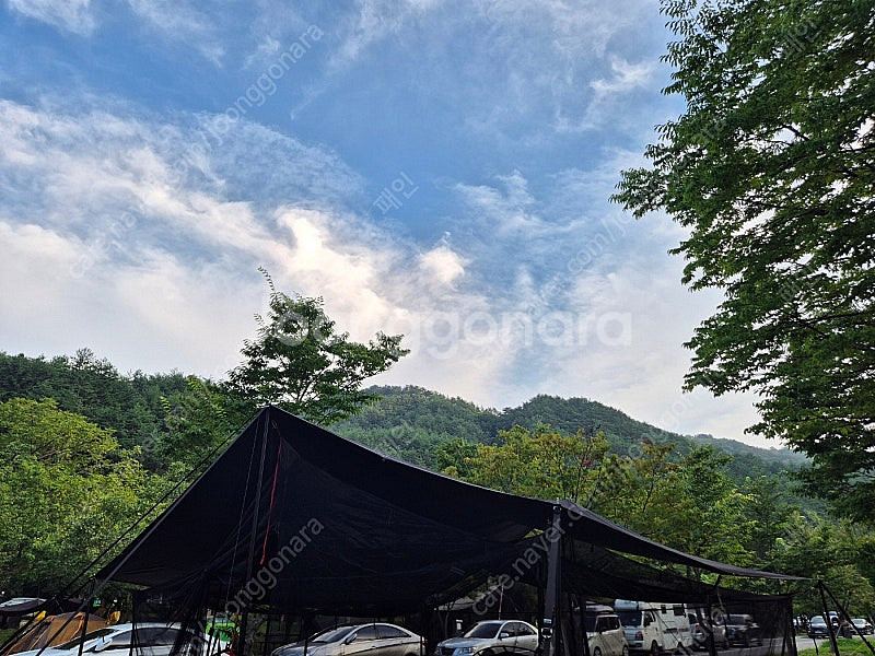 노르딕클스 버그쉴드 메쉬스크린(블랙) 팝니다.--1