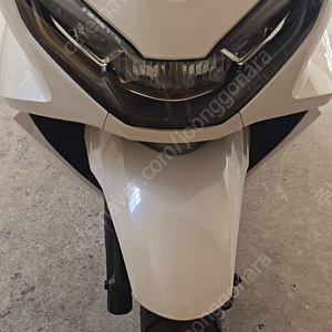 21년식 pcx 카울