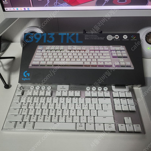 로지텍 g913 tkl 화이트