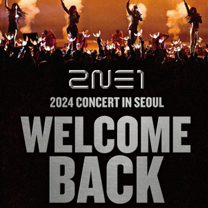 2NE1 투애니원 콘서트 양도