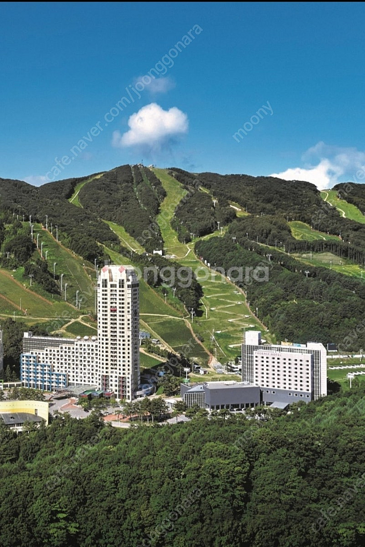 휘닉스 평창, 온도 레스토랑 조식권 삽니다(8.13일,...--0