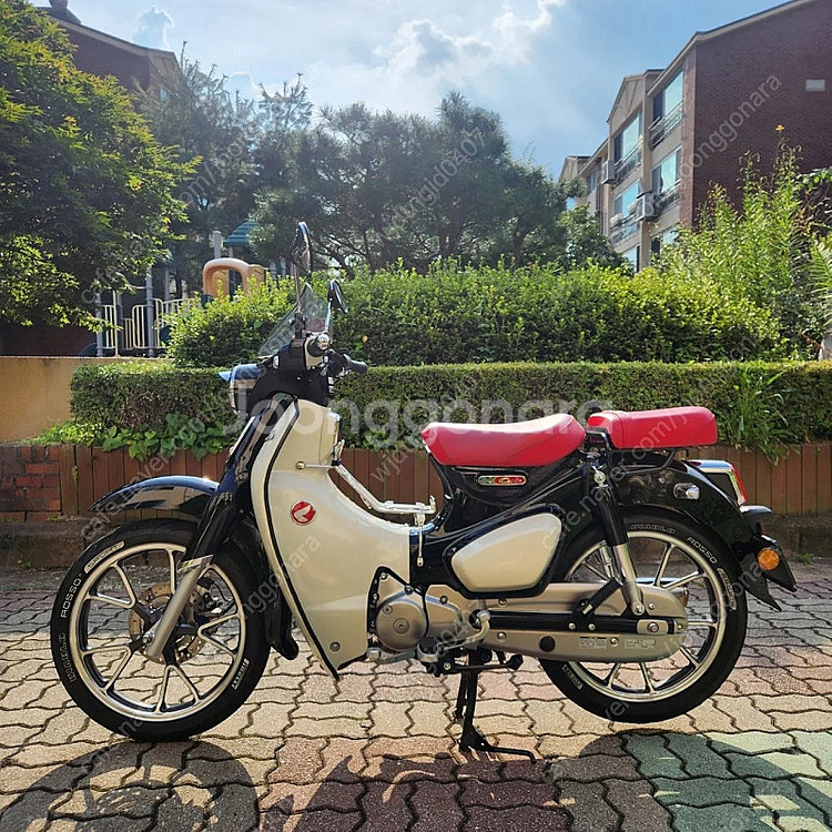 혼다 슈퍼커브 c125 판매합니다.--1