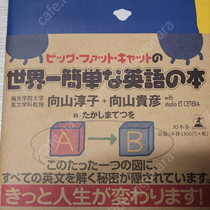 빅팻캣 세계에서 제일 간단한 영어책 (빅팻캣 시리즈) 일본원서 빅팻켓 켓
