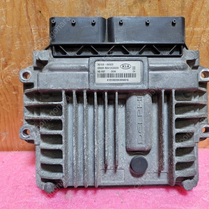 (중고) 그랜드카니발 중고 ECU 39104-4X920 / 391044X920