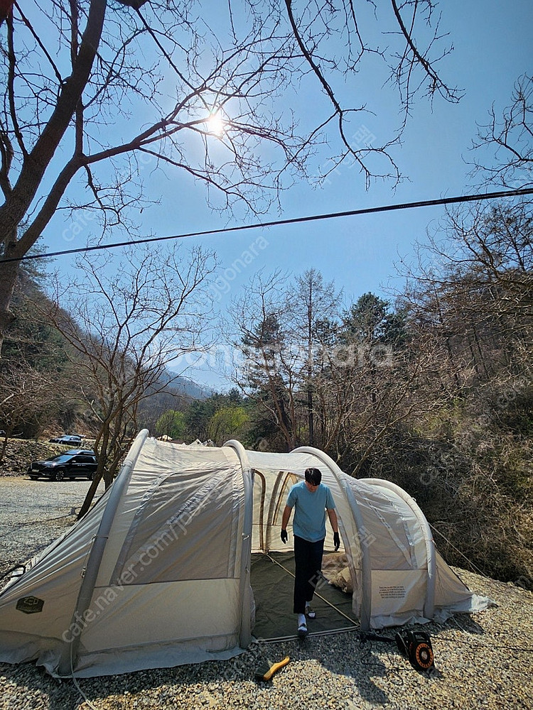 제드티맥스에어 삼페인골드--1