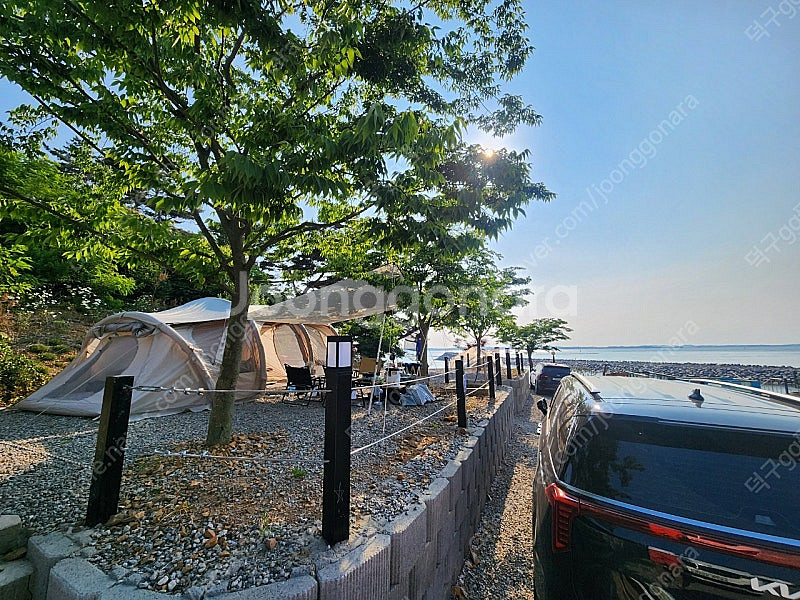 제드티맥스에어 삼페인골드--2