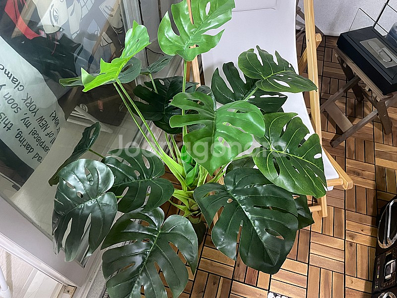 보테니컬 조화 화분 거실인테리어 최고 디테일한 색상 2만--1