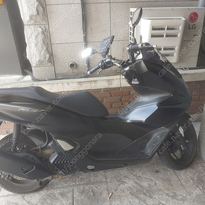 22년식 pcx