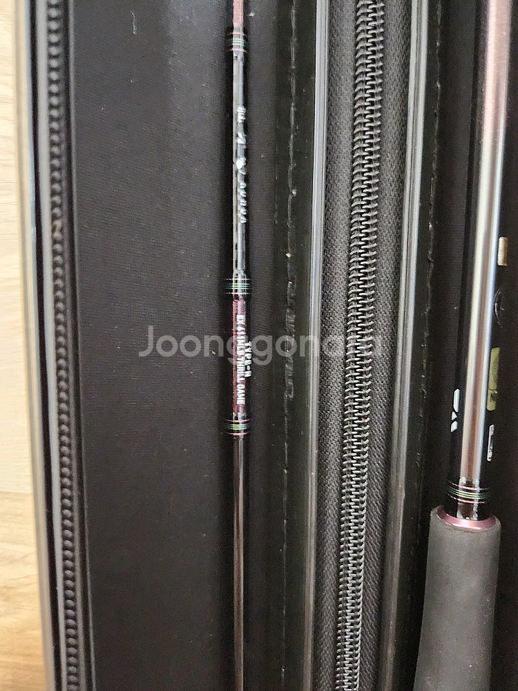 코우가 EX N611MLB TG--0