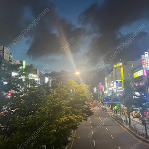 강기원, 서바 등 재종컨 장기거래