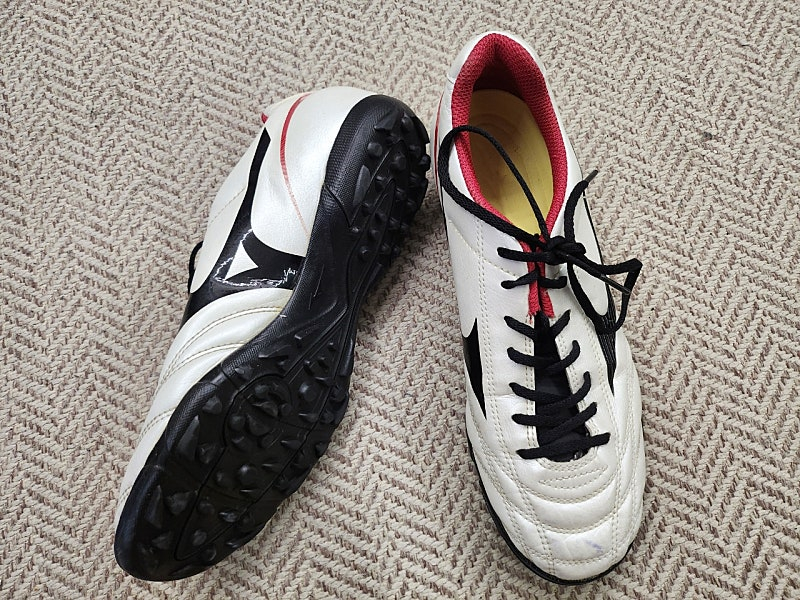 250 미즈노 모나르시다 풋살화 이미지