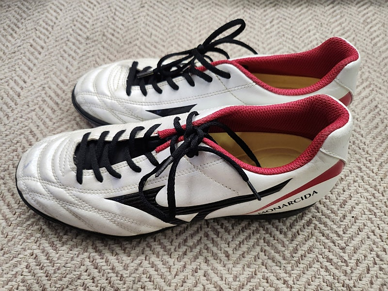 250 미즈노 모나르시다 풋살화 이미지