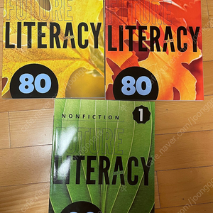 FUTURE LITERACY reading 80