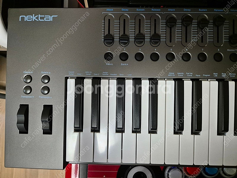 넥타 NEKTAR 마스터 키보드 IMPACT LX61+...--1