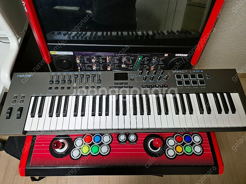 넥타 NEKTAR 마스터 키보드 IMPACT LX61+...--3