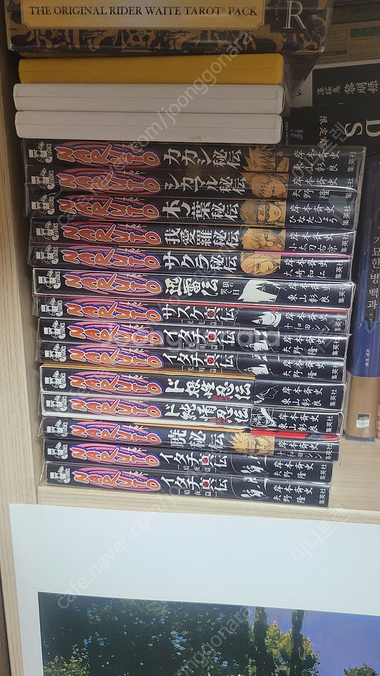 나루토 진전--0