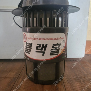 블랙홀 골드 판매