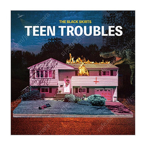 검정치마 TEEN TROUBLES lp